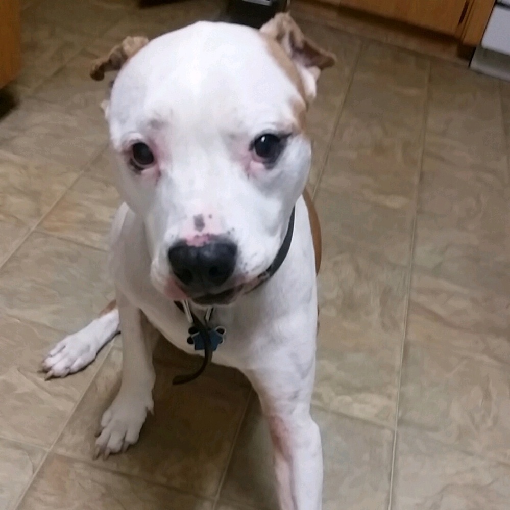 Meet your Posher, Autumn